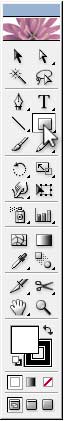 Illustrator Form Tut - Select the Rectangle Tool Illustrator Form Tut - Select the Rectangle Tool