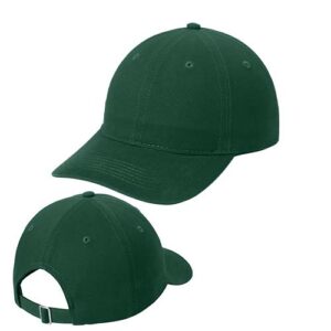 Classic Washed Dad Hat